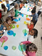 whatsapp image 2026-02-01 at 16.57.34